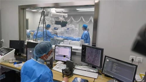 科技前沿新突破 我國首例自主研發(fā)介入式腦機接口完成動物試驗