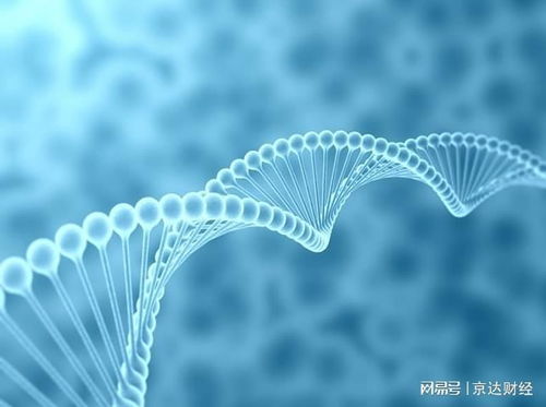 寒冬中的反思 生物科技行業(yè)資本冷遇與技術推廣的困境